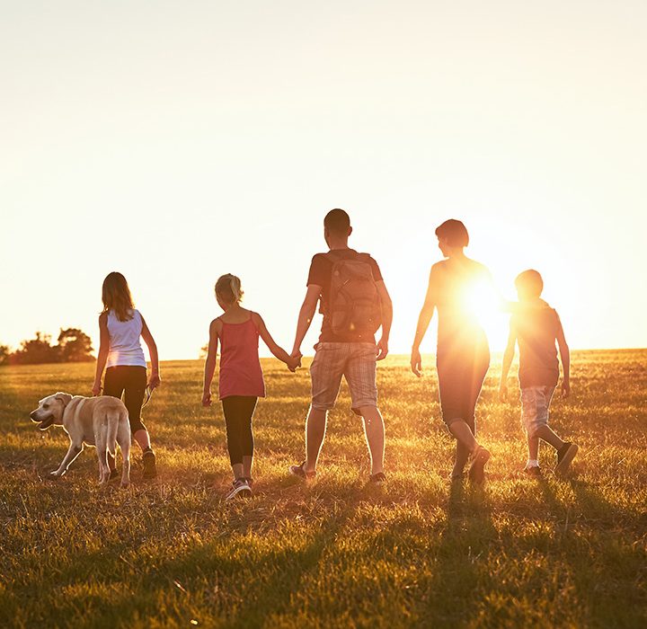 Family walking into the sunset